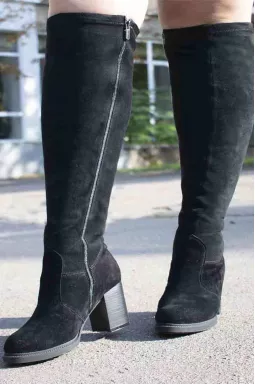 Ботфорты замшевые зимние на каблуках