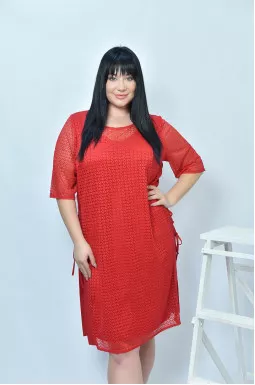 Сукня ніжна напівсвітська батал