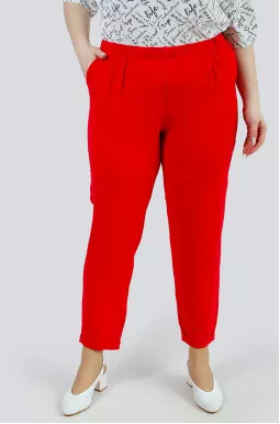 Брюки средние жатка супер батал