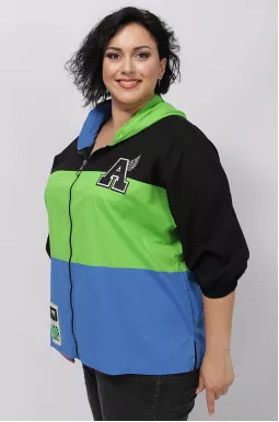 Трикольорова мастерка з декором батал