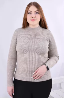 Гольф в'язаний з довгим рукавом