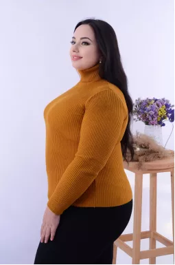 Базовий короткий гольф з довгим рукавом