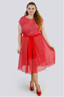 Ніжна сукня в горох великих розмірів