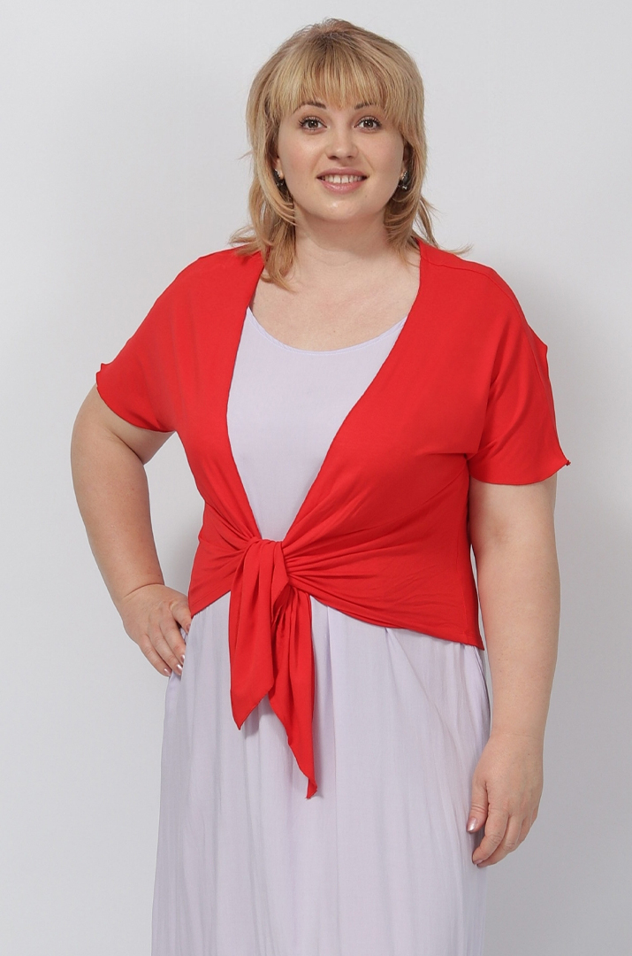 Болеро однотонне трикотажне в кольорах батал